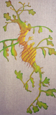C Dragon